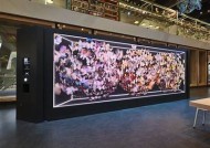 海角社区：共享美好生活，打造温暖和谐家园