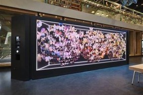 海角社区：共享美好生活，打造温暖和谐家园
