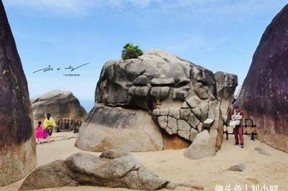 海角官网首页贴吧：最新动态、交流互动与精彩内容一览