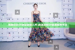 海角社区IP地址查询工具 - 精准获取IP信息服务平台