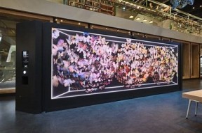 海角社区：打造温馨宜居环境，分享生活点滴与交流平台