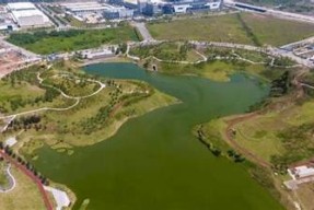 海角社区真实事件揭秘：一场感人至深的邻里互助故事
