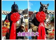 海角家家养的生肖是什么？揭秘生肖背后的故事与寓意