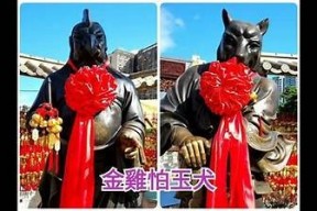 海角家家养的生肖是什么？揭秘生肖背后的故事与寓意