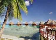 海角社区海南：探索椰风海韵与乡村生活的完美结合