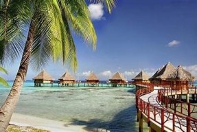 海角社区海南：探索椰风海韵与乡村生活的完美结合