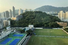 诸暨枫桥海角社区彩仙自然村拆迁拍卖信息公示公告