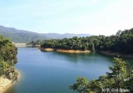 东华君君：探索海角社区的特有魅力与生活方式
