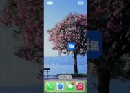 海角社区无法访问的动因及解决方法解析
