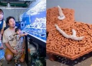 海角社区：探索美丽海边生活，享受社区温馨服务与便捷设施