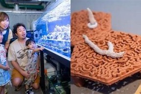 海角社区：探索美丽海边生活，享受社区温馨服务与便捷设施