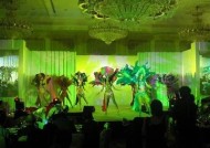 海角社区宾馆盛大庆祝生日派对，精彩不容错过！