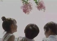 海角社区封神披风妈妈：温情故事与感人瞬间