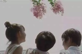 海角社区封神披风妈妈：温情故事与感人瞬间