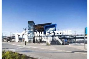 海角网站登录入口失效根本原因调查及解决办法探讨