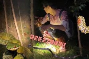 海角禁区在线观看：探索惊险刺激的故事世界