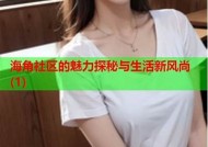 乌海市海角社区的生活魅力与发展潜力探析
