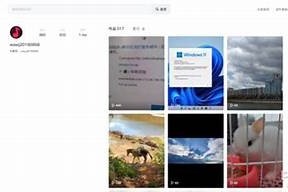 如何在海角论坛网页版下载帖子？详细步骤分享