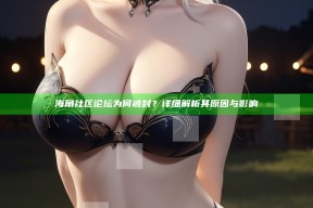 海角社区论坛为何被封？详细解析其动因与影响
