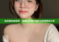 选择最佳浏览器：海角社区用户推荐与使用体验分享
