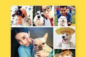 海角社区APP注册指南：详细步骤与注意事项