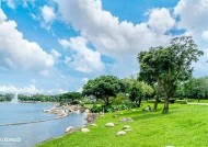探索天天海角社区：享受海边生活的理想之地与特有魅力