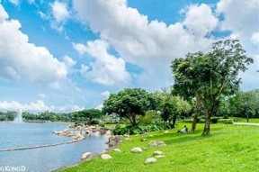 探索天天海角社区：享受海边生活的理想之地与特有魅力