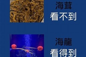 海角是什么食物？揭秘海角的制作方法与风味特点