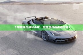 《海角社区风华少年：风花雪月的青春故事》