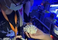 探索海角社区：海洋文化与交流的聚集地
