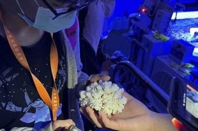 探索海角社区：海洋文化与交流的聚集地