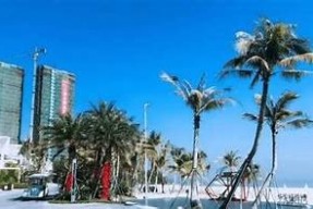 海角社区2022年网页入口：最新资讯与交流平台揭晓