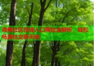 2021海角社区在线入口指南：轻松注册与使用步骤解析