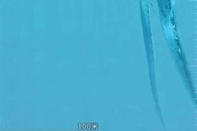 海角A∨：探索海洋的边界与无限可能