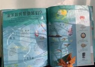 海角A∨：探索神秘海域与生态之美的完美融合