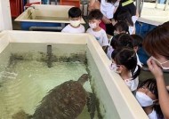 海角入口——探秘自然奇观与人文历史的完美结合