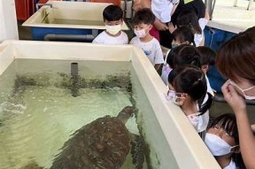 海角入口——探秘自然奇观与人文历史的完美结合