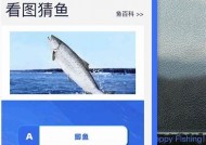 海角社区App二维码获取指南与使用说明