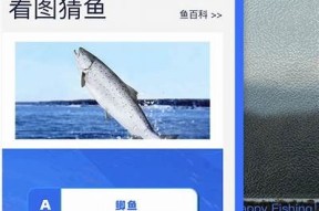 海角社区App二维码获取指南与使用说明