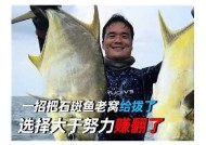 海角披风少年最新视频：探索神秘海岸与勇敢冒险之旅
