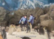 海绿意盎然：探索海角社区在线活动与生态环境之美