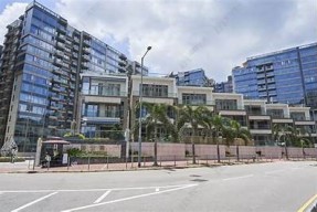海角社区砖石价格查询：最新市场行情与购置建议研究