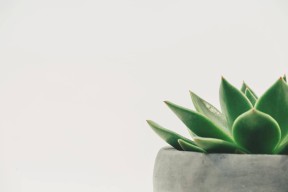 海角社区hja8：探索社区生活与交友新方式，尽享精彩时刻