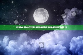 如何在国内成功访问海角社区的详细步骤与技巧
