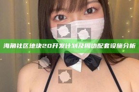 海角社区地块20开发计划及周边配套设施检视   