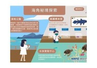 海角回家不迷路：掌握这些技巧，让归途更顺畅