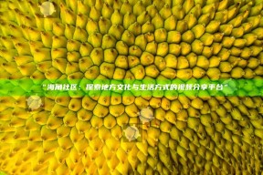 “海角社区：探索地方文化与生活方式的视频分享平台”
