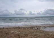 海角社区06址：探索海角HJ苹果的魅力与价值研究