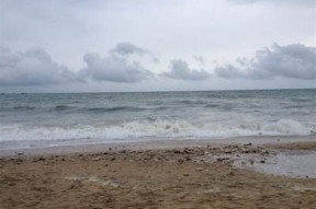 海角社区06址：探索海角HJ苹果的魅力与价值研究