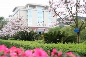 海角社区SIP：促进城市发展的创新方法与实践探索